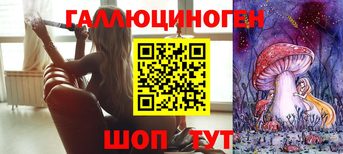 Псилоцибиновые грибы Psilocybine cubensis Канаш