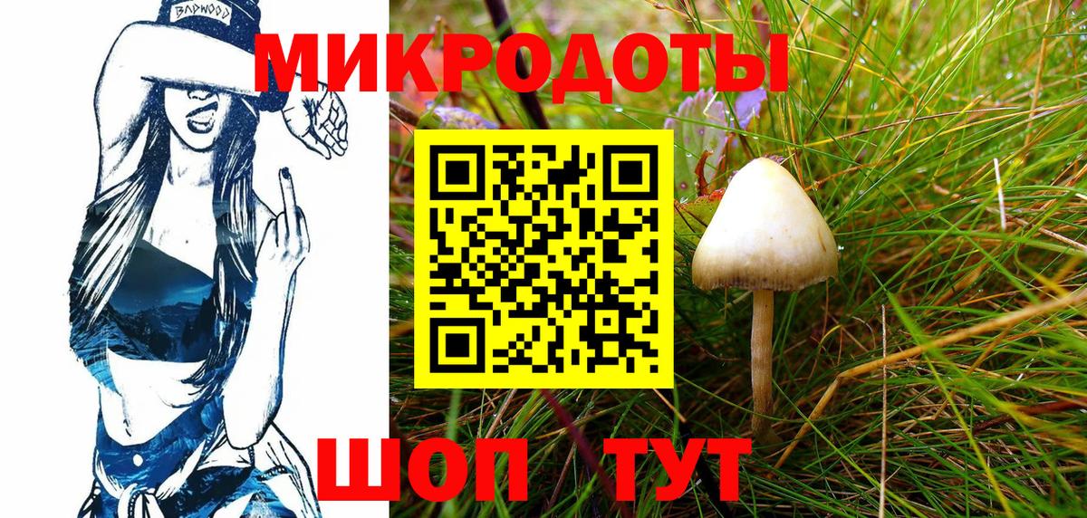 Канаш  купить наркоту  Вход с VPN  Псилоцибиновые грибы Psilocybine cubensis  Галлюциногенные грибы мицелий 